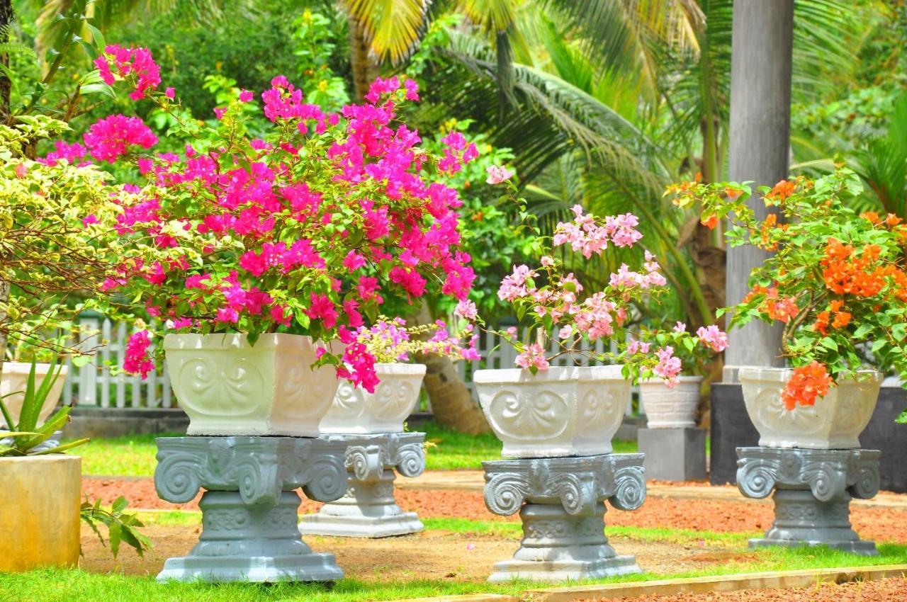 Canal Villa Bentota Exteriér fotografie